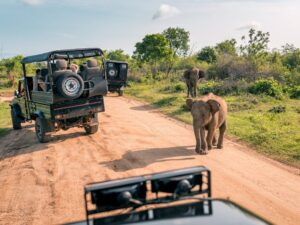 Allianz Travel Insurance: Your Ultimate Guide to Safe and Stress-Free Travels